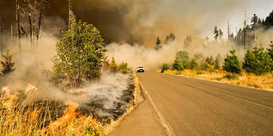 How to Prepare for a Wildfire in 2023